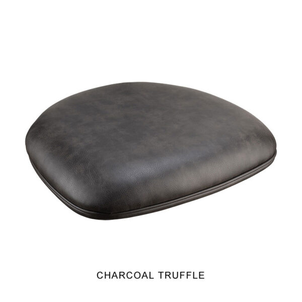 A plush and comfortable cushion in a dark grey, slightly textured leather features a rounded, almost square shape designed for seating. Below the cushion reads "CHARCOAL TRUFFLE." This is the Bon Bon Chair.